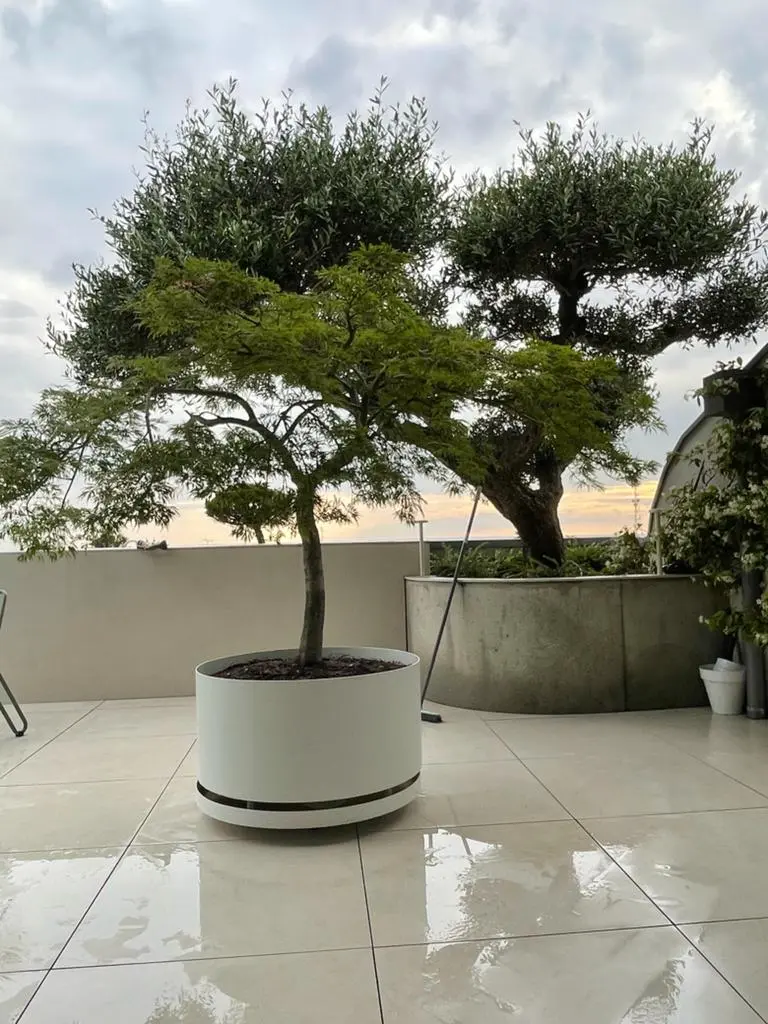 Jardinière